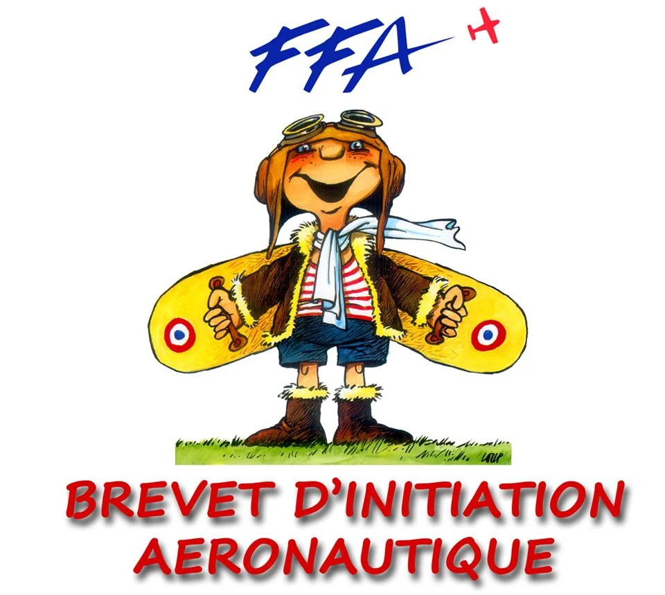 Logo officiel du Brevet d’Initiation Aéronautique
